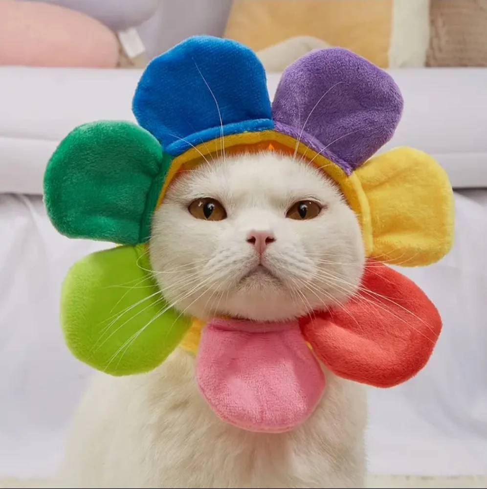 Cat or Dog Flower Face photo prop! 🌼